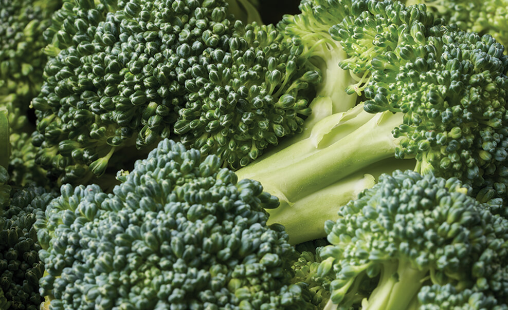 DelMonteProductImage-BroccoliFlorets-988X604