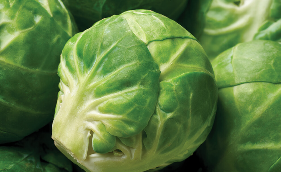 DelMonteProductImage-BrusselSprouts_1-988X604